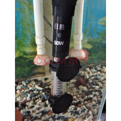 加熱棒海水哪款好？實(shí)拍評(píng)測(cè)助你選購(gòu)優(yōu)質(zhì)魚(yú)缸加熱棒