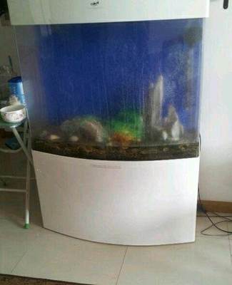 八成新熱帶魚(yú)魚(yú)缸轉(zhuǎn)讓，含配套小工具，適合新手入門