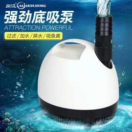 廣東閩江水族箱與寵物配件 打造水下生態(tài)的藝術與科學