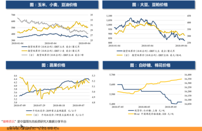 2021年8月新股申購(gòu)一覽與計(jì)算機(jī)設(shè)備租賃行業(yè)前瞻