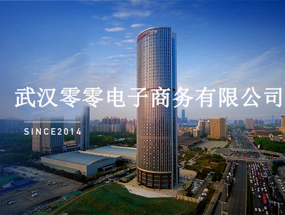 武漢零零電子商務(wù)有限公司 專業(yè)計(jì)算機(jī)及輔助設(shè)備租賃服務(wù)商